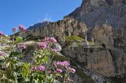 029 Rifugio Preuss